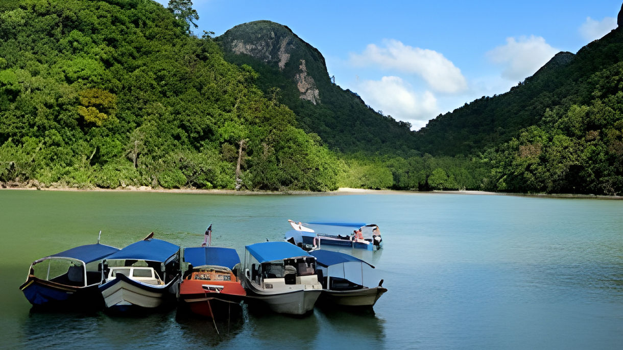 Sea Eagle & Mangrove Cruise