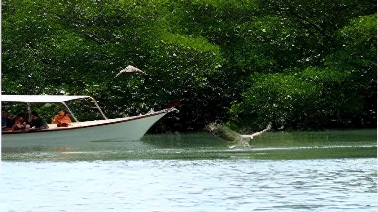 Sea Eagle & Mangrove Cruise