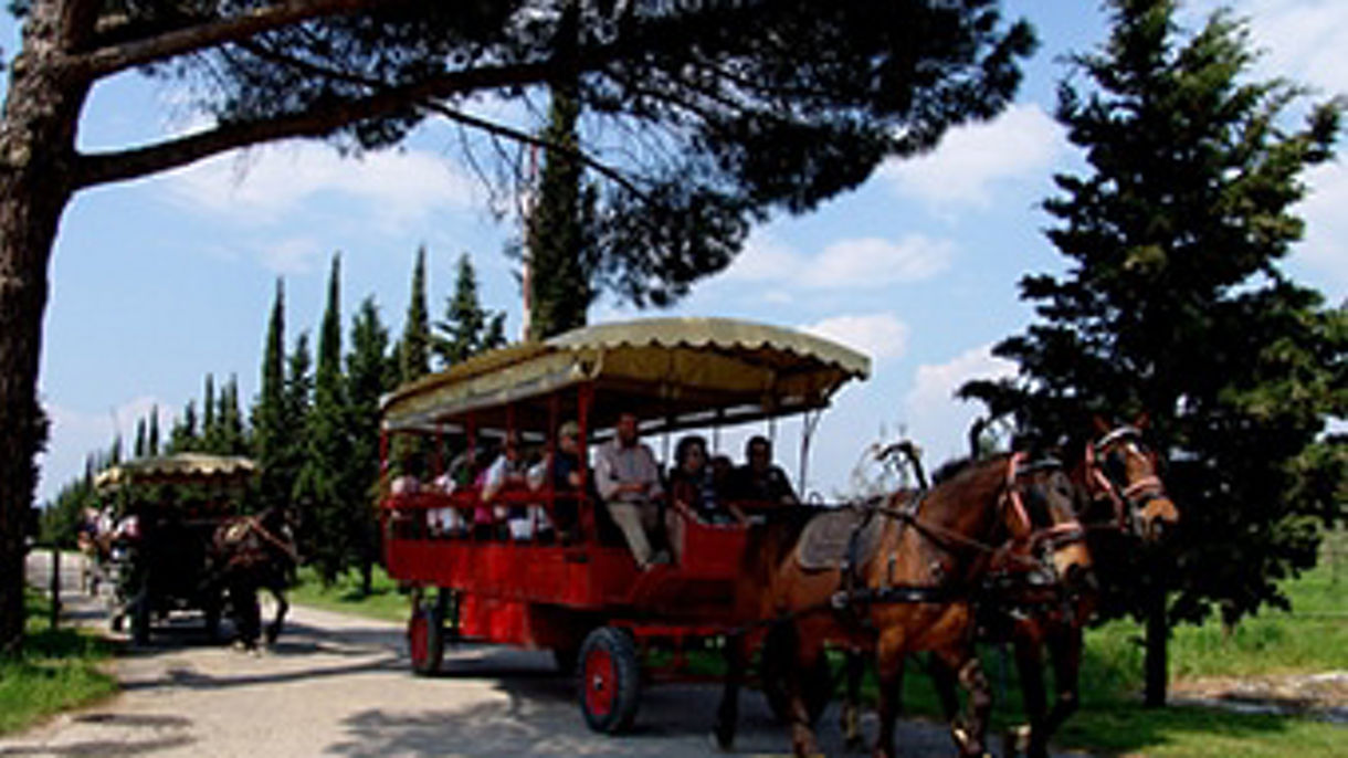 TUSCAN COUNTRYSIDE & WINE TASTING