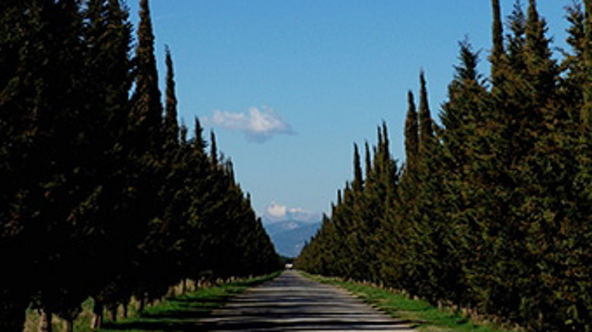 TUSCAN COUNTRYSIDE & WINE TASTING