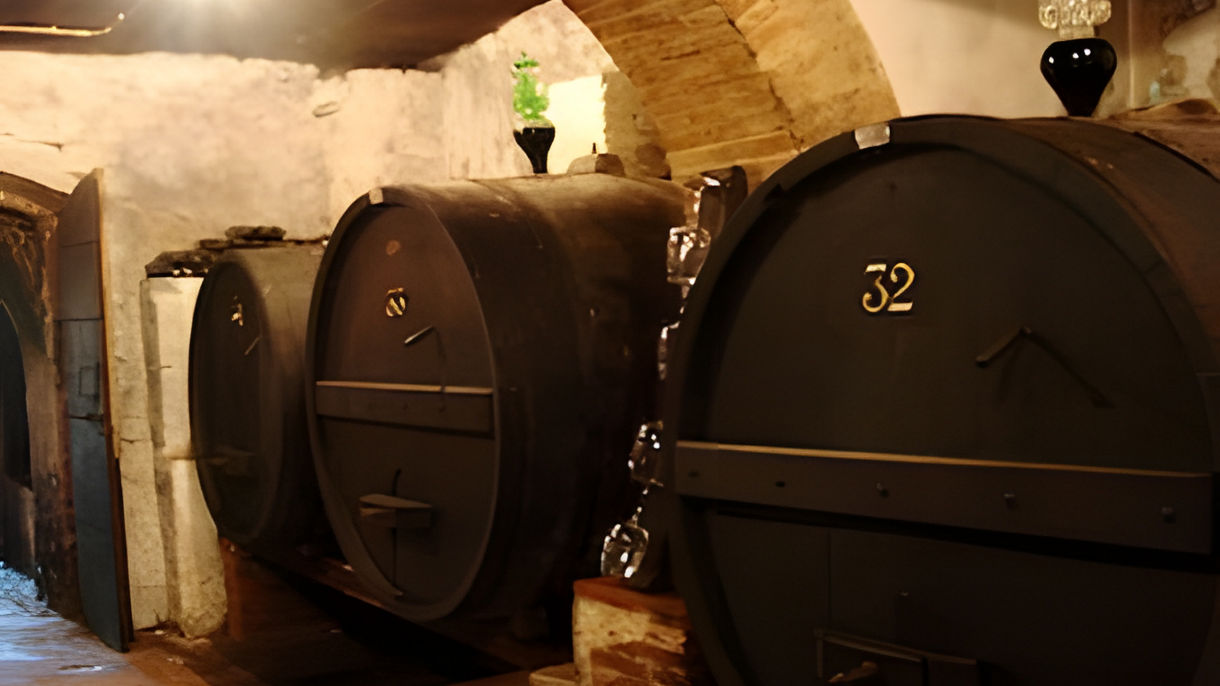 Florence, The Chianti Region & Wine Tasting