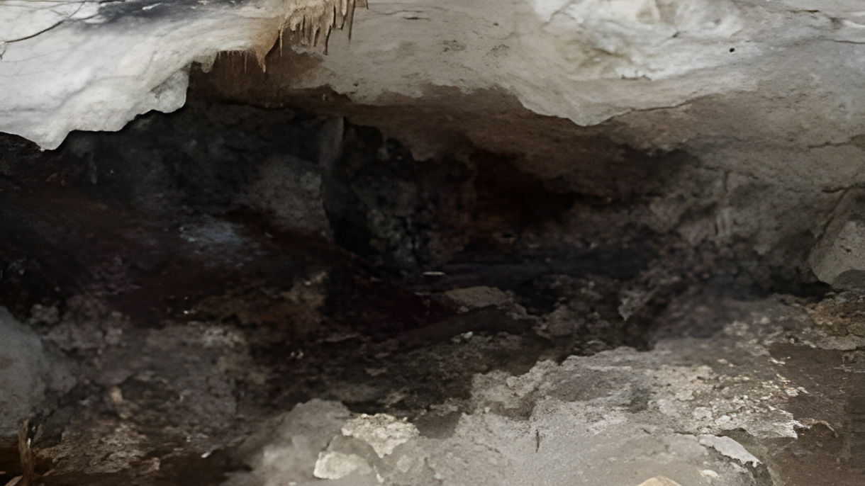 Tropical Forest Walk & Secret Grotto