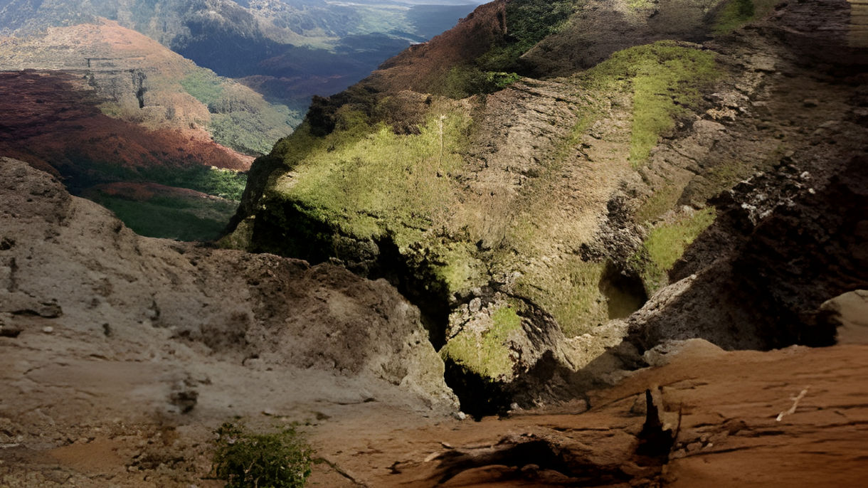 Best of Kauai: Waimea Canyon, Wailua River & Fern Grotto