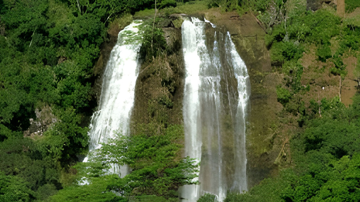 Best of Kauai: Waimea Canyon, Wailua River & Fern Grotto