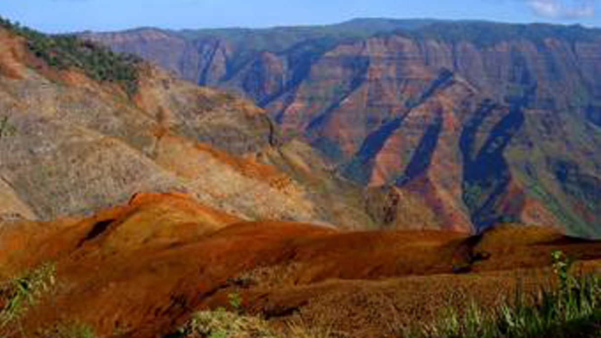 Best of Kauai: Waimea Canyon, Wailua River & Fern Grotto