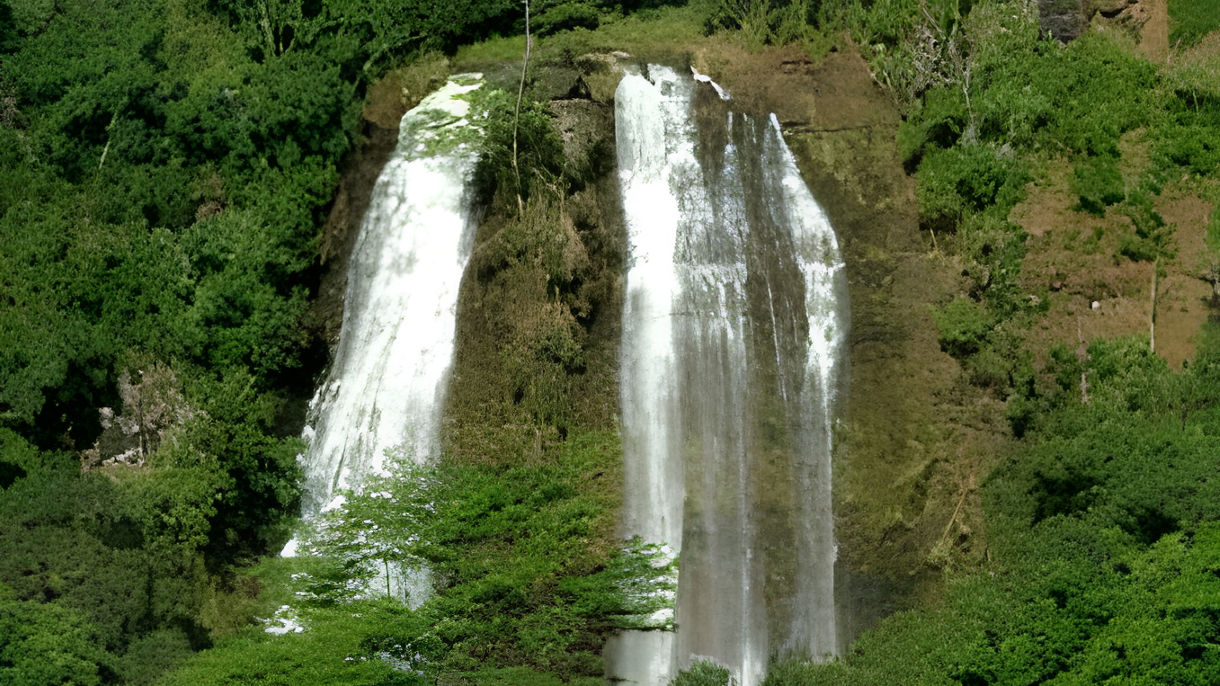 Wailua River Cruise & Fern Grotto