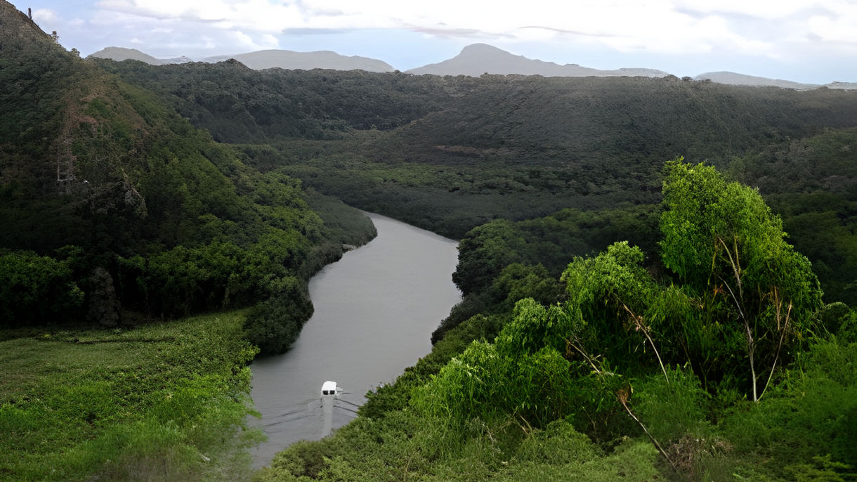Wailua River Cruise & Fern Grotto