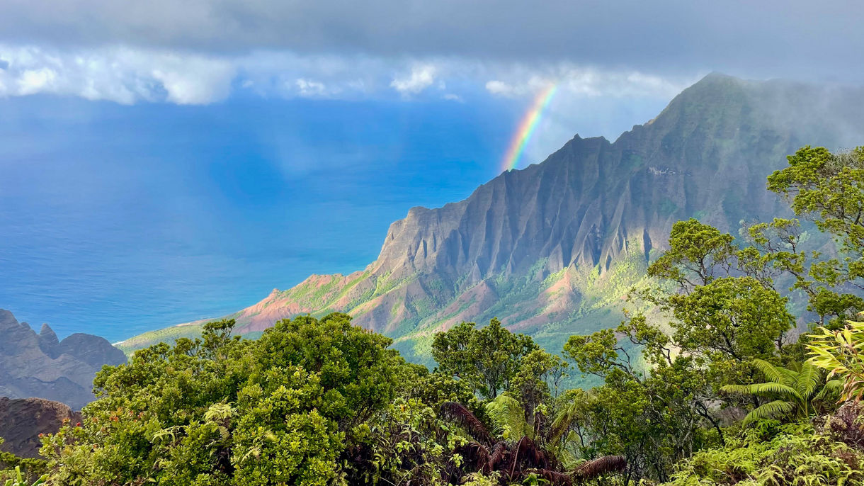 Waimea Canyon, Napali Coast, & Beyond