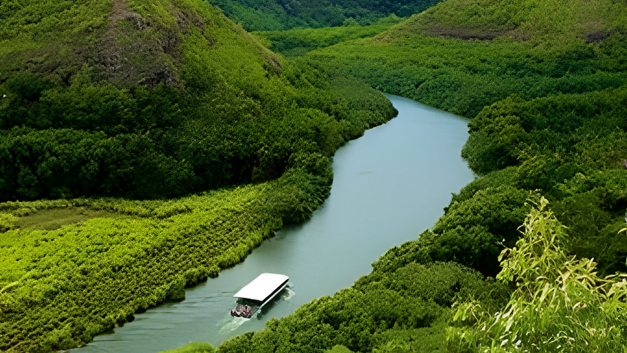 Discover Kauai