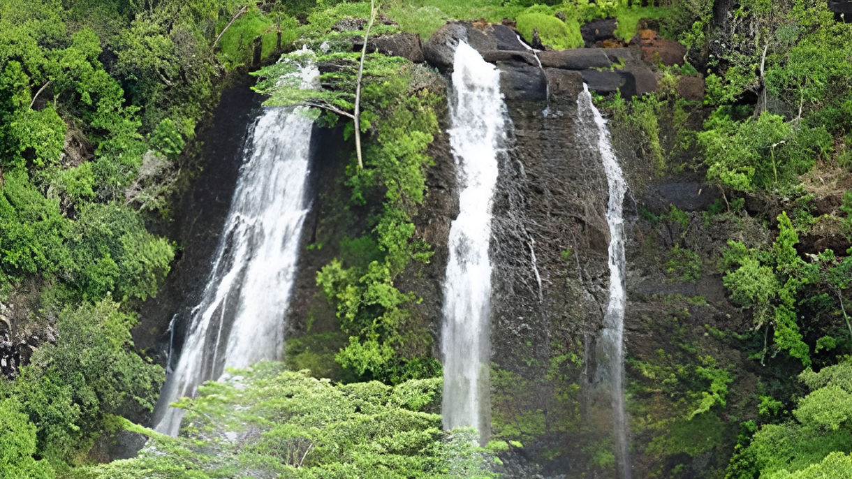 Easy Panoramic Kauai - Falls, Plantation & Train (Wheelchair Accessible)