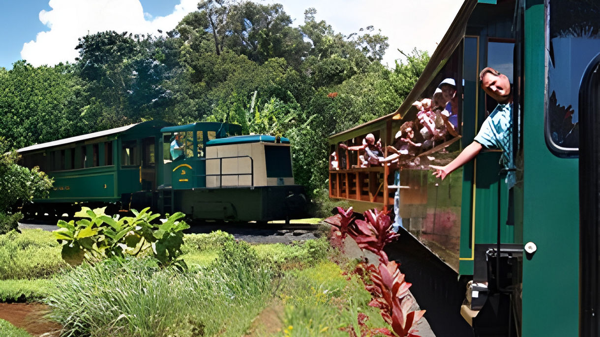 Easy Panoramic Kauai - Falls, Plantation & Train (Wheelchair Accessible)