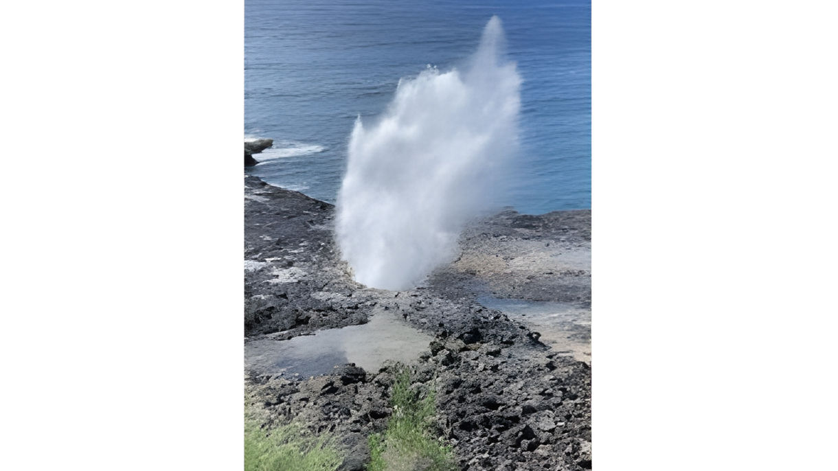Waimea Canyon & Spouting Horn