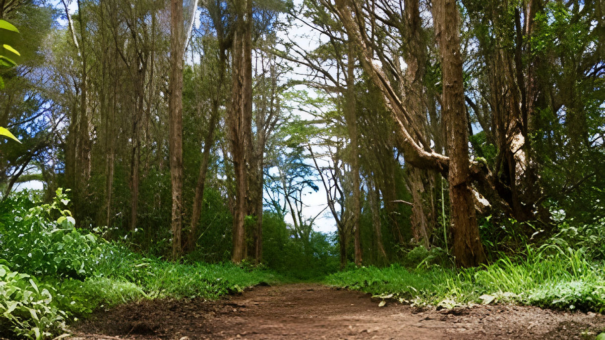 Kauai Hiking Adventure