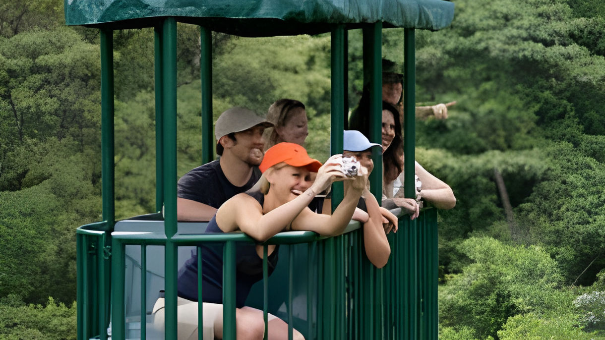 Best of Limon: Original Rainforest Aerial Tram, Tortuguero Canals & Lunch