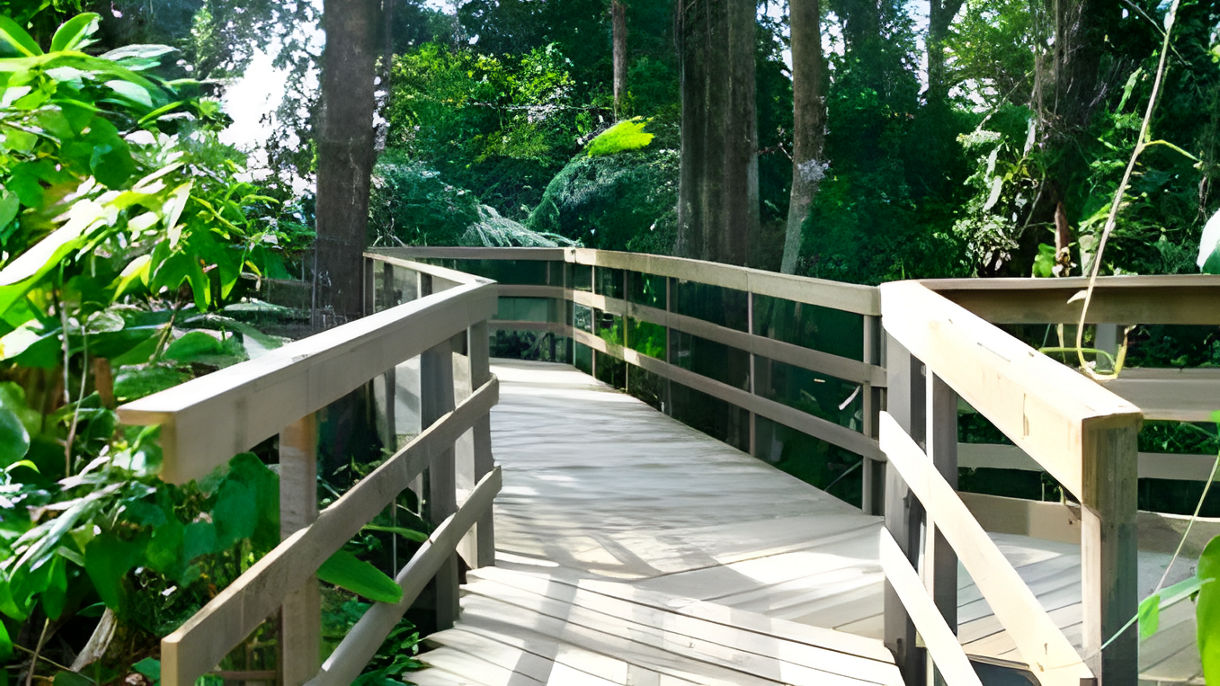 Veragua Rainforest (Wheelchair Accessible)