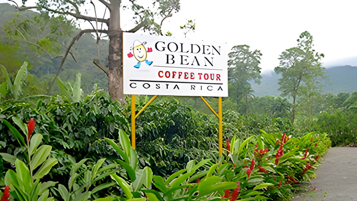 Costa Rica Coffee Estate, Scenic Drive & Lunch