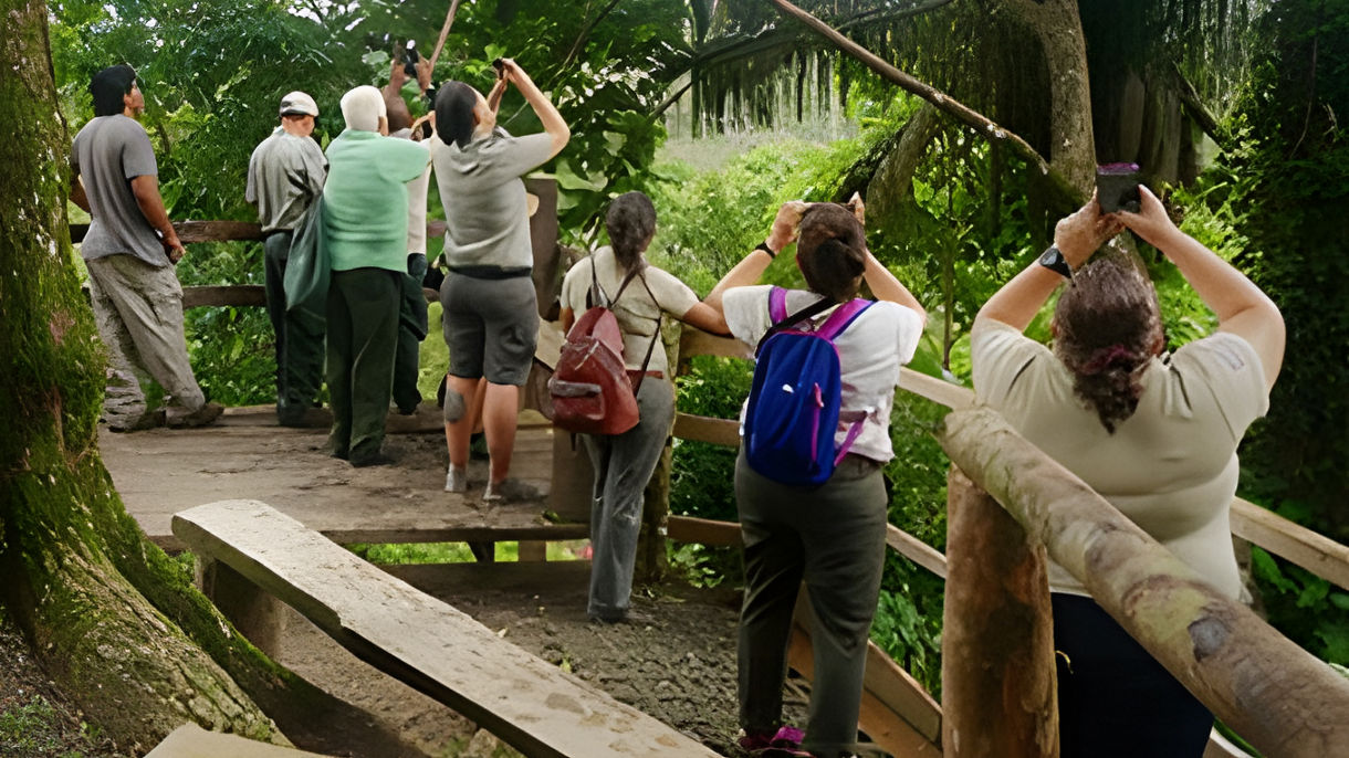 National Parks, Wildlife Refuge & Macaw Sanctuary (A Small-Group Tour)