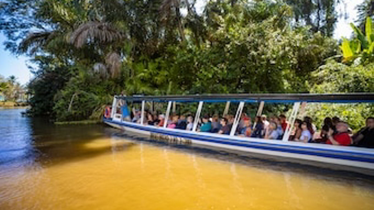 Costa Rica's Amazon, Cocoa Show & Chocolate