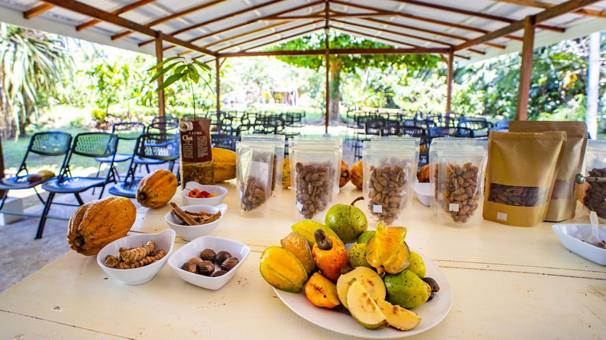Costa Rica's Amazon, Cocoa Show & Chocolate