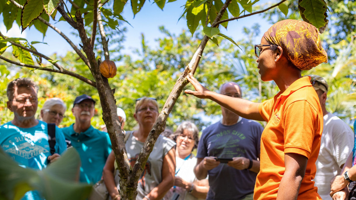 Costa Rica's Amazon, Cocoa Show & Chocolate