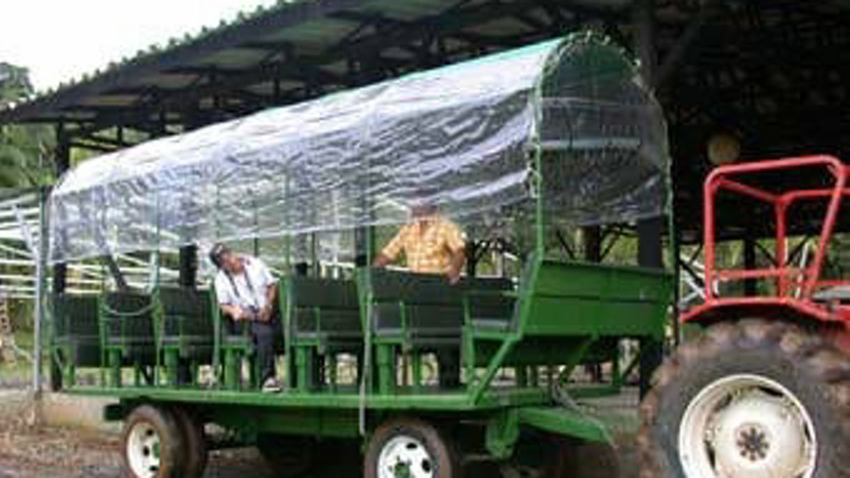 Rainforest Jitney Expedition