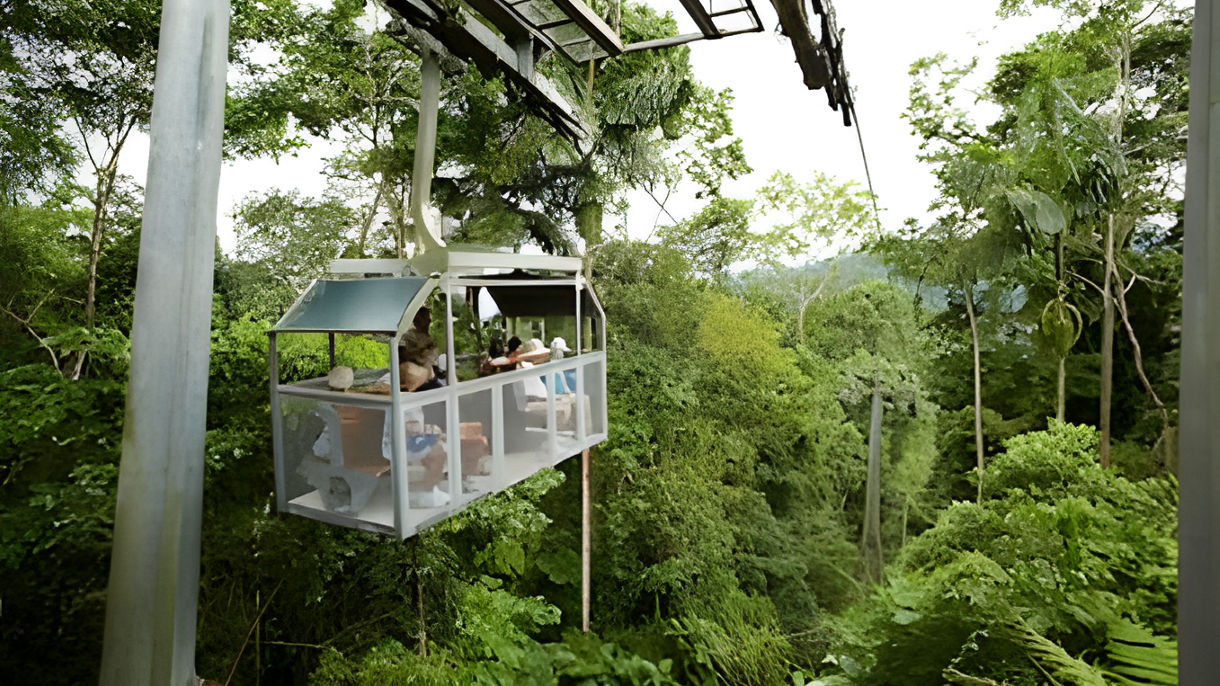 Veragua Rainforest Tour & the Original Canopy Zipline Tour Combination with Lunch