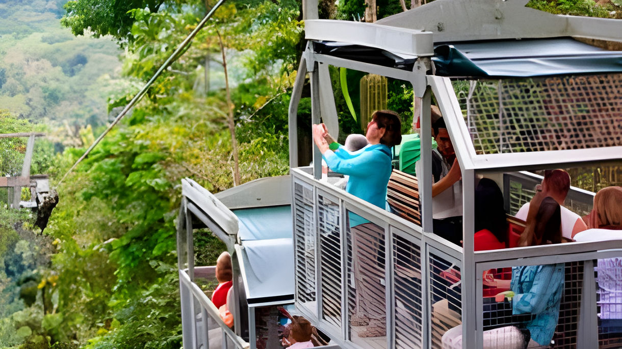 Veragua Rainforest Tour & the Original Canopy Zipline Tour Combination with Lunch