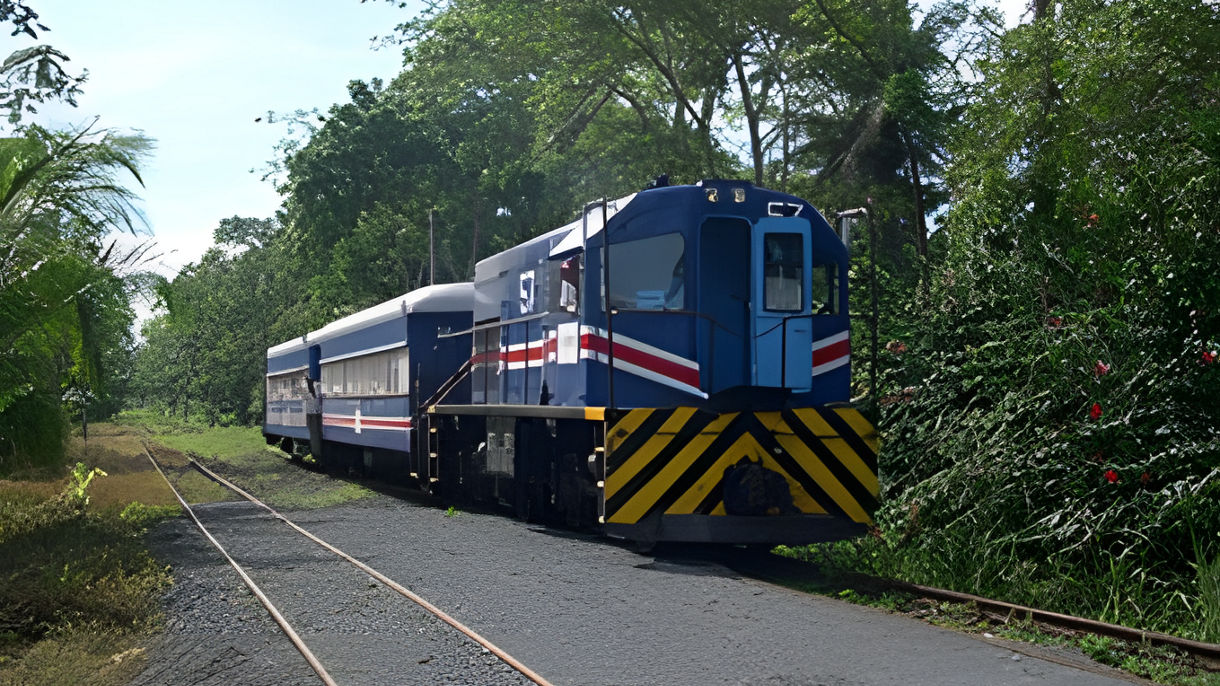 Train Ride, Tortuguero Canals & Countryside
