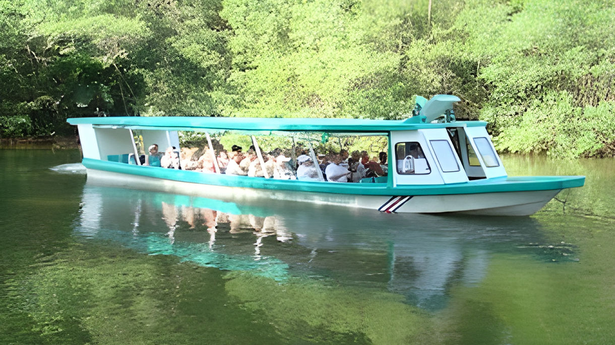 Veragua Rainforest, Tortuguero Canals & Lunch