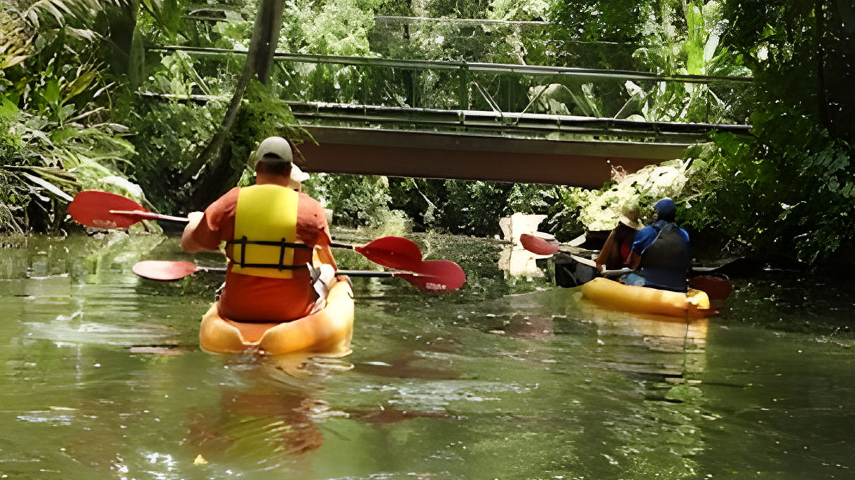 River Kayaking Adventure & Nature Walk