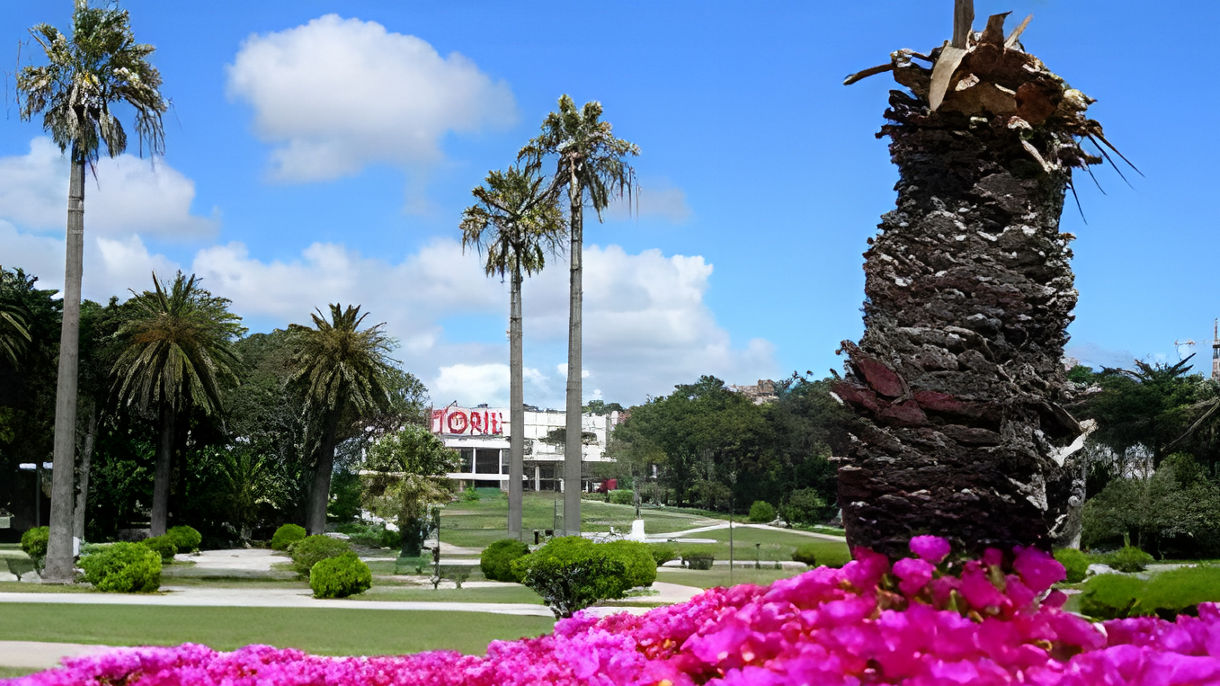 Estoril & City Drive