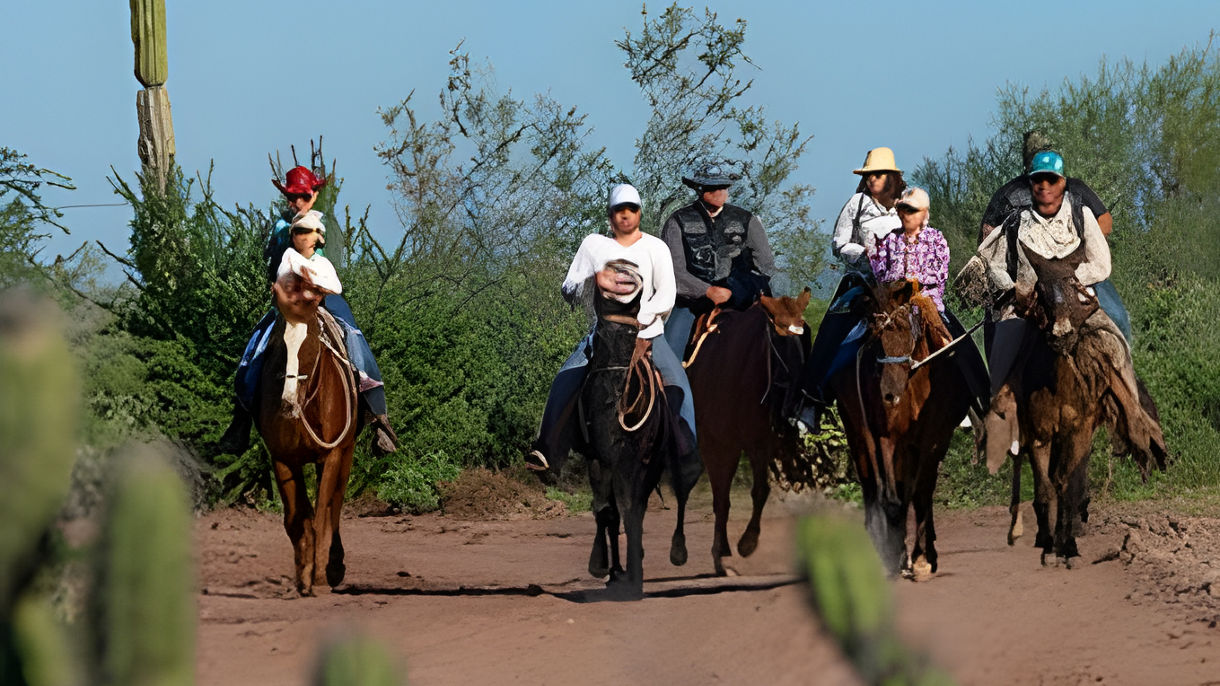 Horseback Riding at the Loreto Estuary & Beach