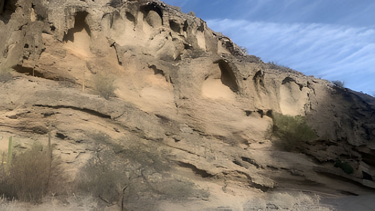Exploring Fossils In The Canyon