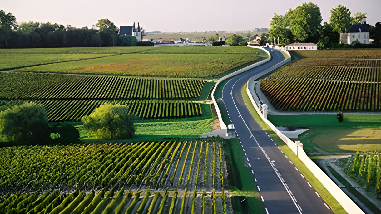 Highlights & Bordeaux on Your Own
