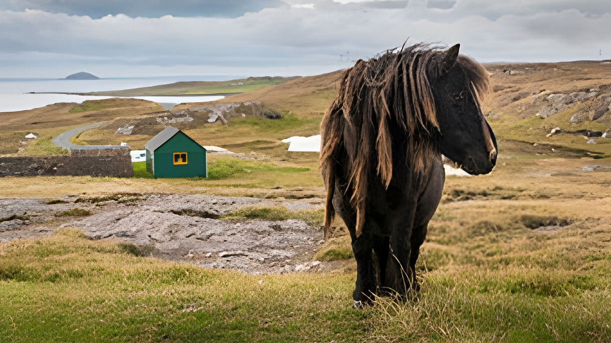 Shetland Ponies and Panoramic Drive