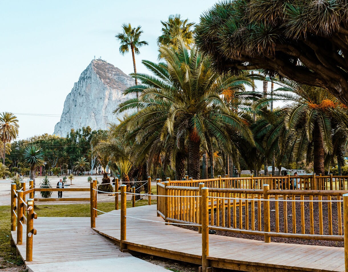 A wooden boardwalk winding through a park filled with tall palm trees, with the Rock of Gibraltar towering in the background under a clear sky.