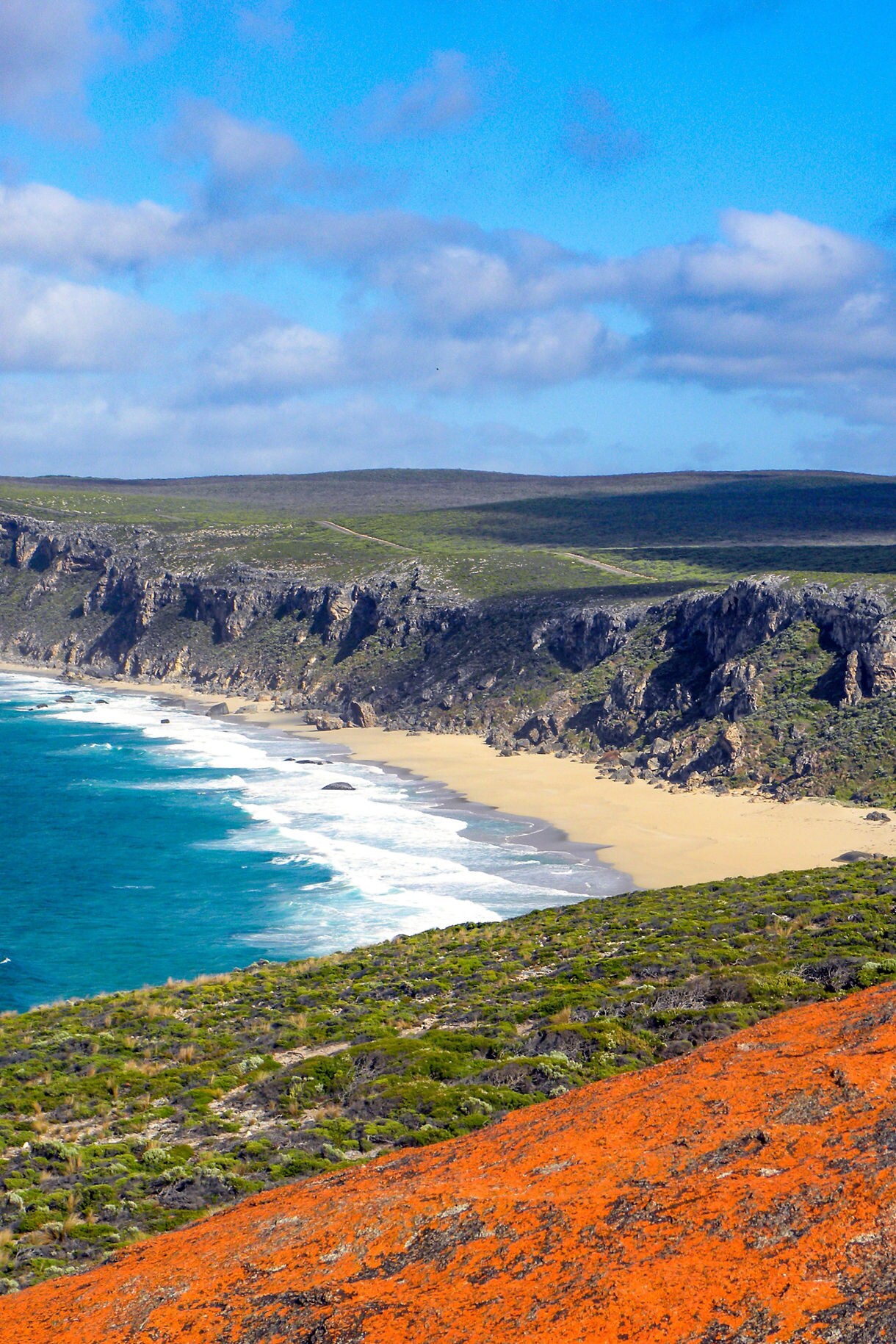 Vibrant orange lichen-covered rocks overlooking a rugged green coastline and sandy beach along turquoise waters.