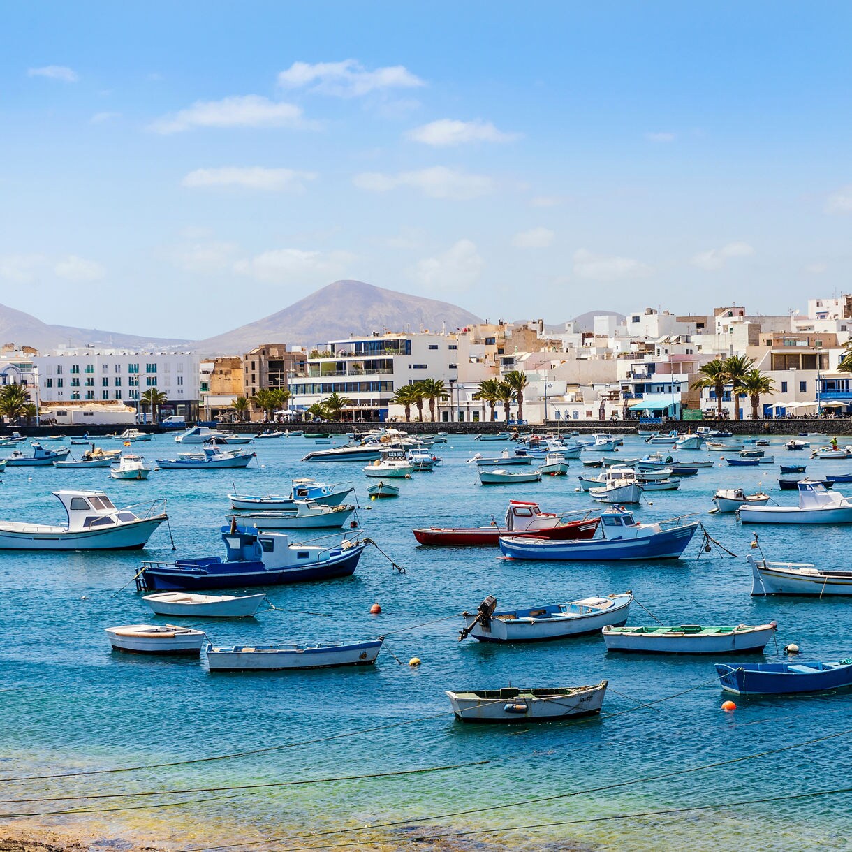 Colorful fishing boats anchored in a turquoise bay with white buildings and palm trees in Lanzarote.