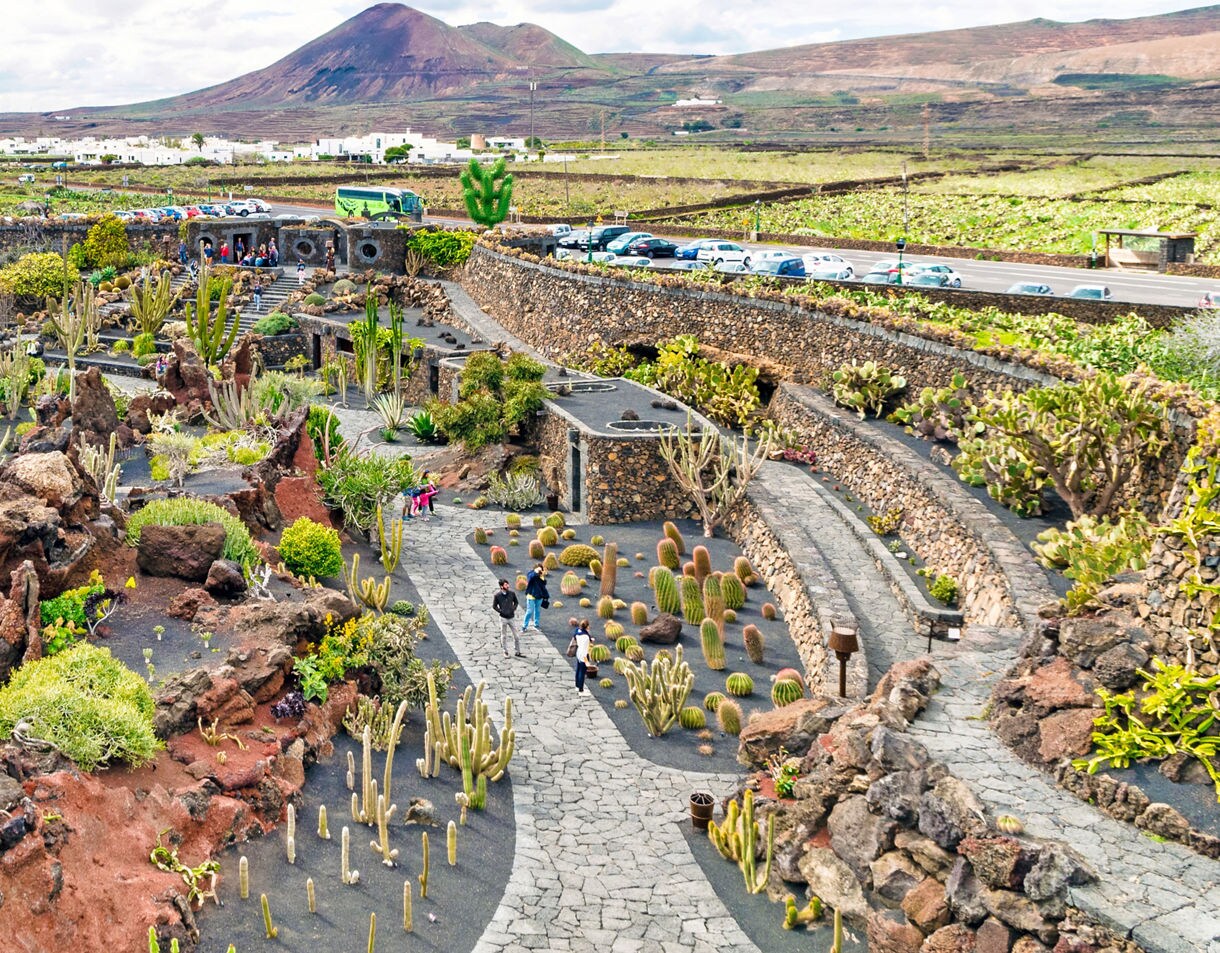 Terraced cactus garden in Lanzarote with stone pathways, volcanic rock formations, and mountains in the background.