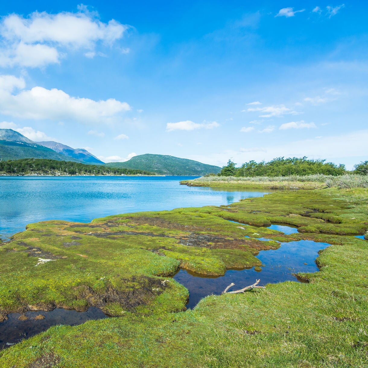 View of Lapataia Bay with bright blue water, green marshy patches in the foreground, and forested mountains beneath a partly cloudy sky.