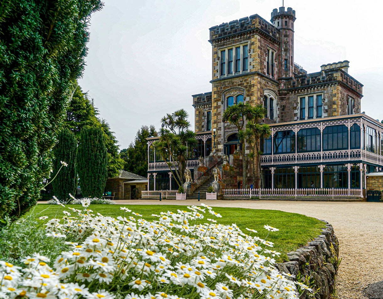 Larnach Castle in Dunedin framed by white daisies and manicured lawns on a bright, overcast day.