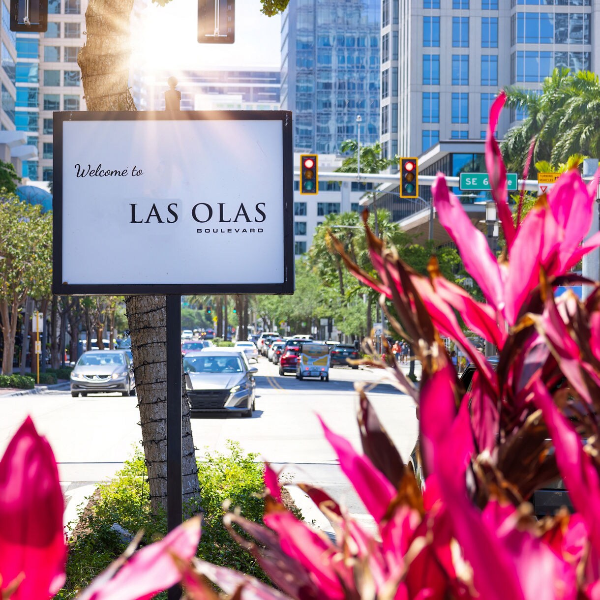 Street view of Las Olas Boulevard in Fort Lauderdale with cars, tall modern buildings, palm trees and a welcome sign framed by bright pink tropical plants.