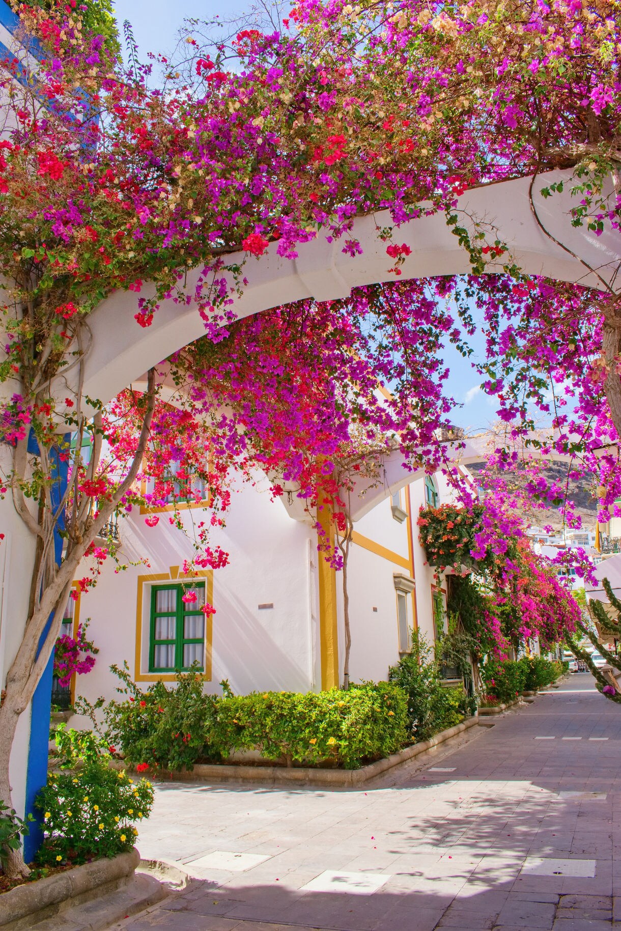 Archway covered in vibrant pink and purple bougainvillea above a quiet pedestrian street in Mogán, Gran Canaria, with whitewashed houses trimmed in yellow and green.