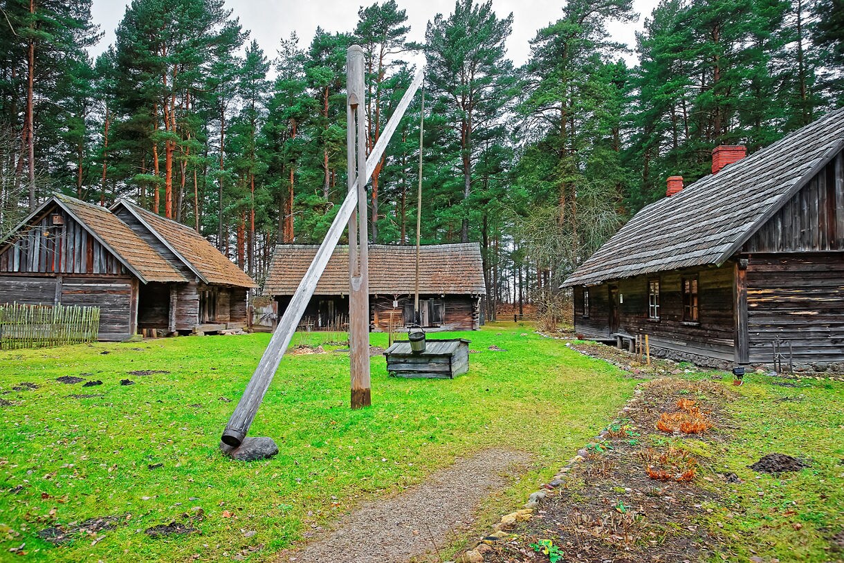 Wooden farmhouses with thatched roofs at the Latvian Ethnographic Open-Air Museum near Riga, surrounded by pine trees and a rustic wooden well in the grassy courtyard.