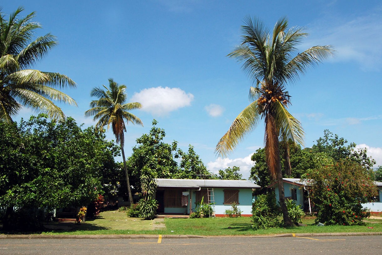 Bright tropical houses in Lautoka, Fiji, surrounded by coconut palms, green shrubs and flowering plants under a clear blue sky.