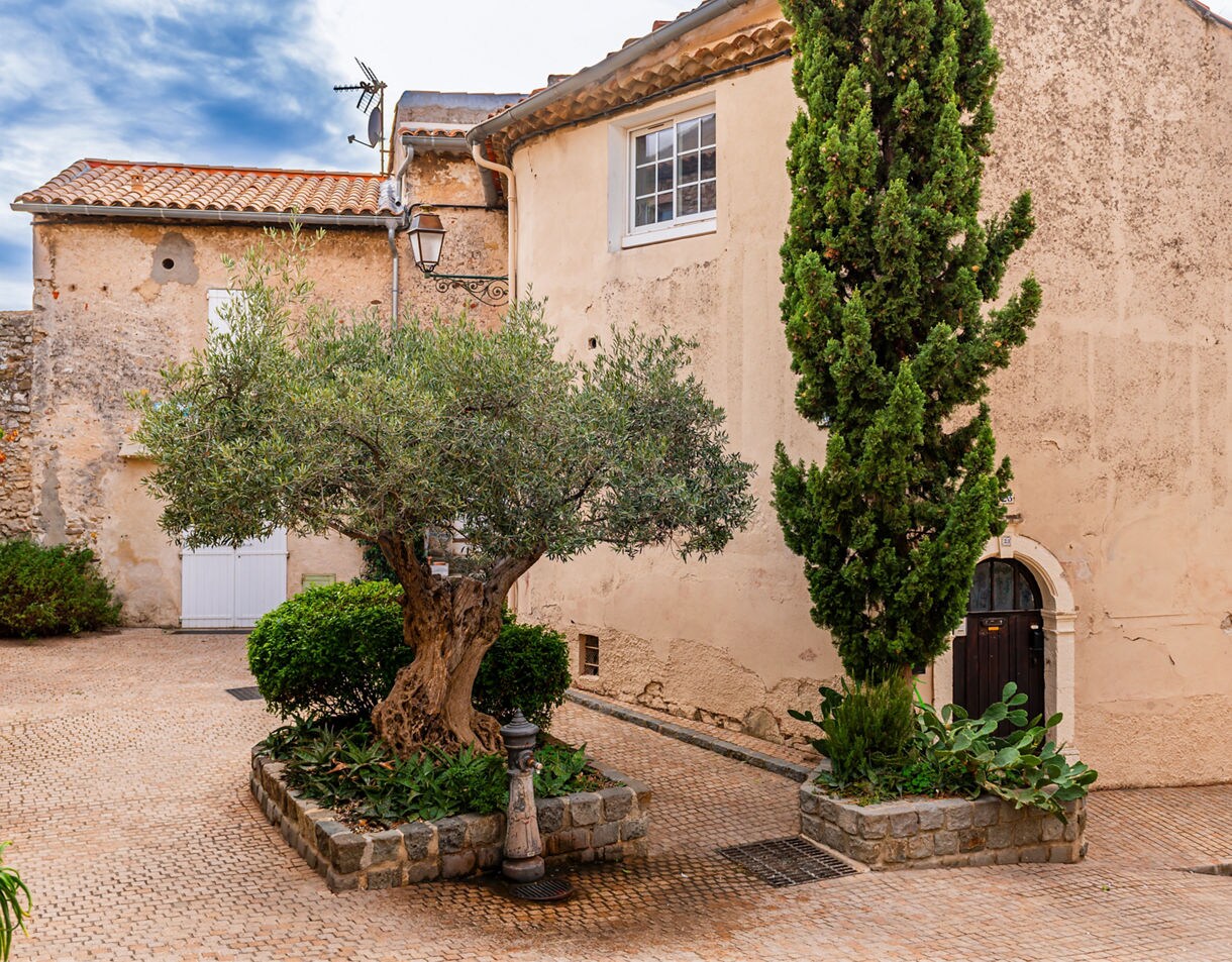 Peaceful courtyard in Le Castellet featuring an old olive tree, a tall cypress and rustic stone buildings with weathered walls and tiled roofs under a partly cloudy sky.