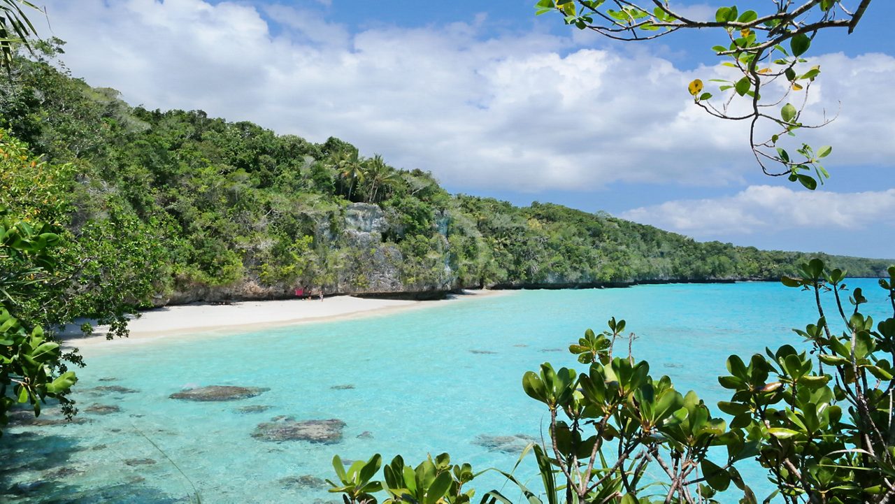 Quiet cove on Lifou with clear turquoise water, white-sand beach backed by lush green cliffs and overhanging branches in the foreground.