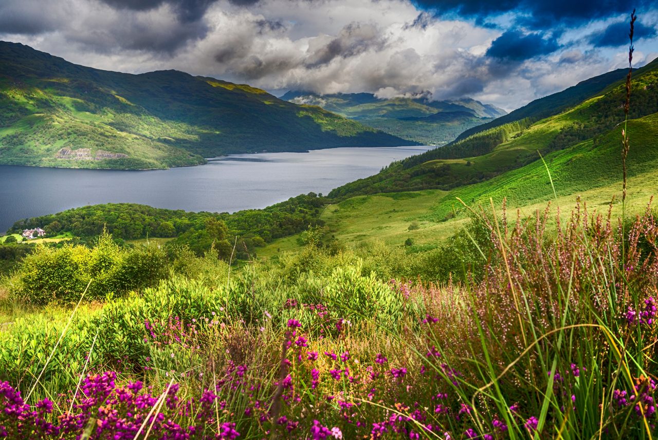 Scenic view of Loch Lomond with dark blue waters surrounded by lush green hills, purple wildflowers in the foreground and dramatic storm clouds overhead.