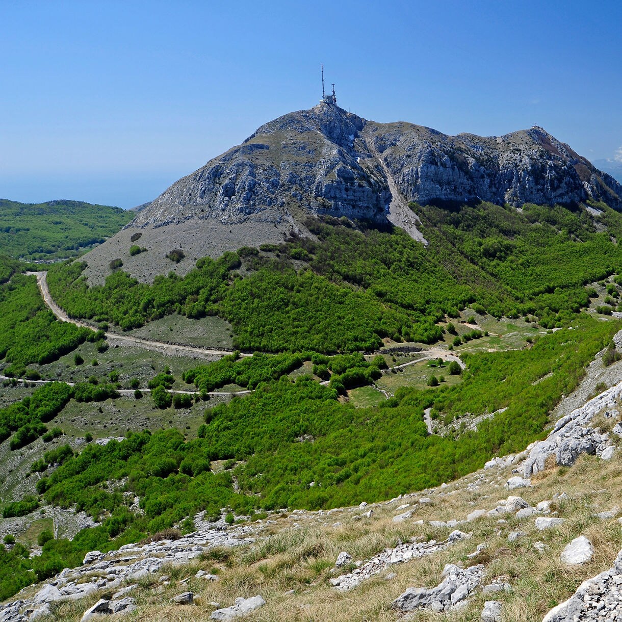 Panoramic view from Mount Lovćen in Montenegro, showing rocky slopes, patches of green forest, winding trails and distant mountain ranges under a clear blue sky.