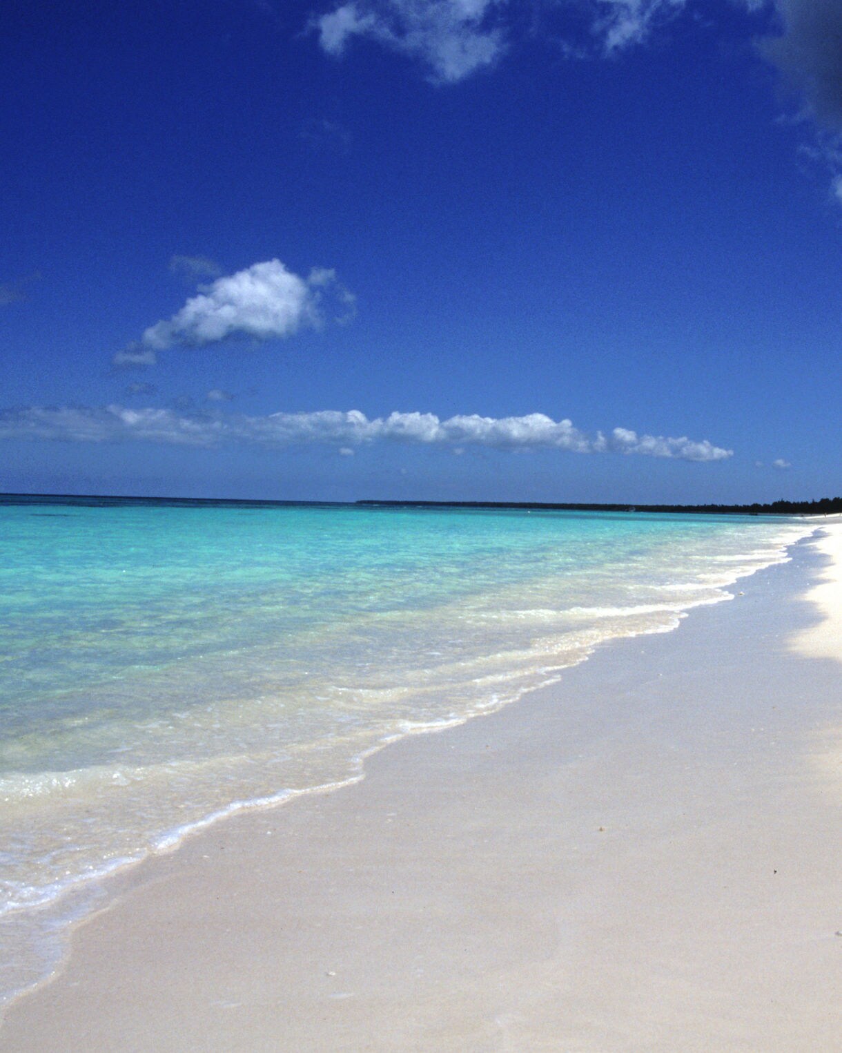 Quiet stretch of Luengoni Beach with bright turquoise water, soft white sand and a backdrop of palm trees under a deep blue sky.